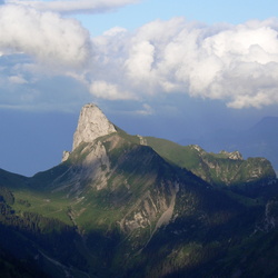 2009