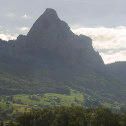 2009