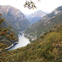 2009