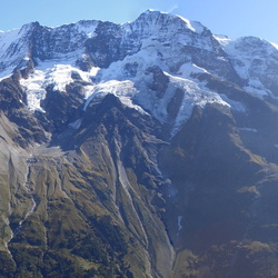 2009
