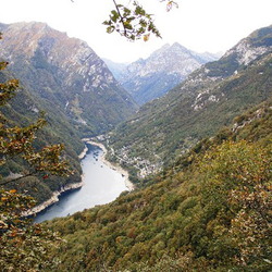 2009