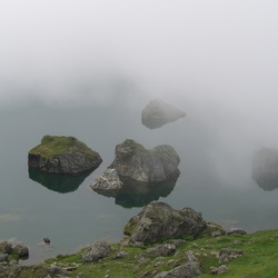 2010