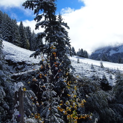 2013