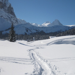 2013
