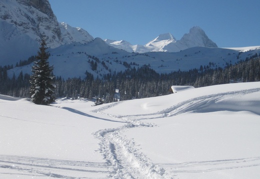 Schneeschuhtour Grosse Scheidegg