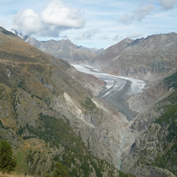 2015