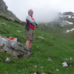 Diemtigtal Simmental