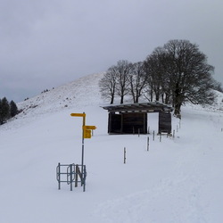 Schneeschuhwanderung Zürcher Oberland