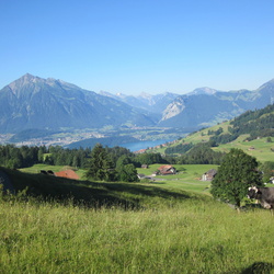 2016