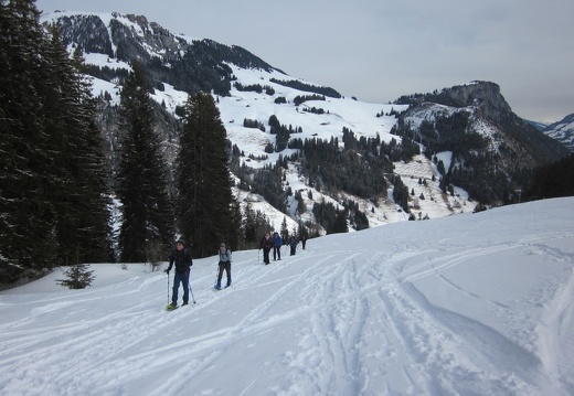 Tour 03 - Schneeschuhtour Meniggrat