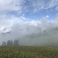 Tour 14 - Kaisereggalp