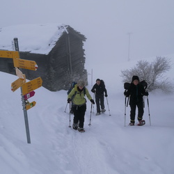 Tour 04 - Schneeschuhtour Brischeru