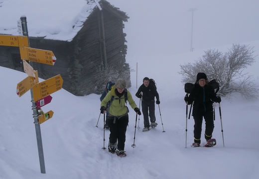 Tour 04 - Schneeschuhtour Brischeru