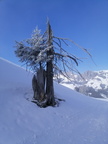 IMG 20210306 100553
