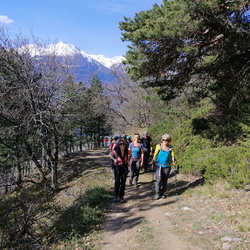 Tour 08 - Frühlingswanderung Wallis