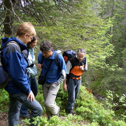 2005