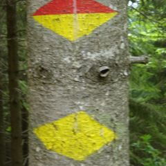 Belchen