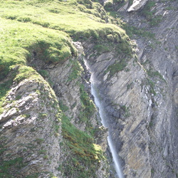 2006