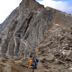 2006