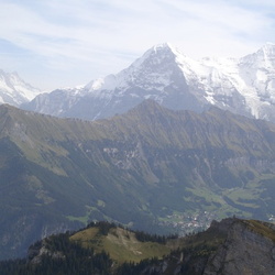 2006