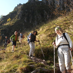 2007