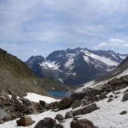 2007