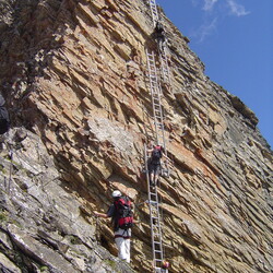 2007