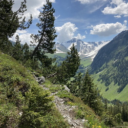 Tour 11 - Mieschflue (Ersatztour Ornavasso)