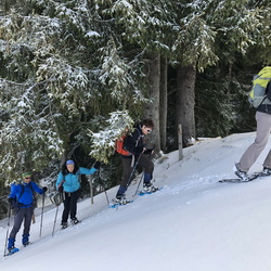 Tour 02 - Schneeschuhtour Zettenalpegg