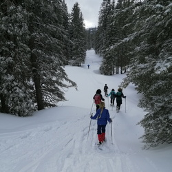 Tour 04 - Lombachalp - Bolberg - Habkern