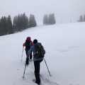 IMG 1345