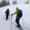 IMG 1346
