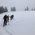 IMG 1348