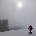 IMG 1359