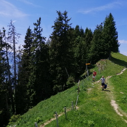 Hardergrat, 18.06.2023