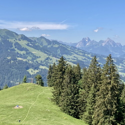Simmental-Diemtigtal 25.06.2023