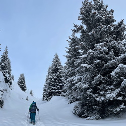 Lobhornhütte, 07.01.2024