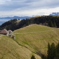 20240210 Photo 017