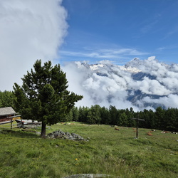 Augstbordhorn, 13.07.2024