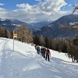 Schneeschuhtour Stand, 08.02.2025