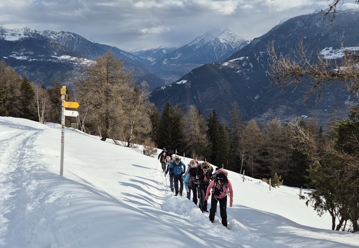 Schneeschuhtour Stand, 08.02.2025