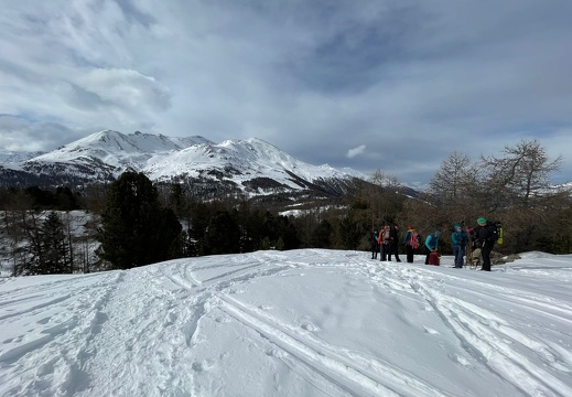 IMG-20250208-WA0006