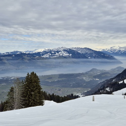Schneeschuhtour Heitihubel 16.02.2025