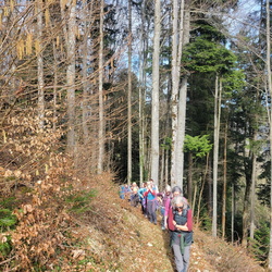 Frühlingswandern Jura