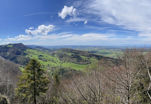 IMG 7712