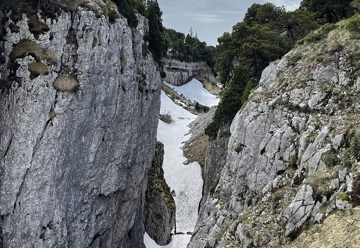 IMG 7999