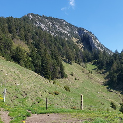Rigi Hochflue, 10.05.2025