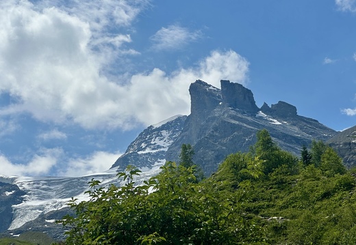 IMG 4349