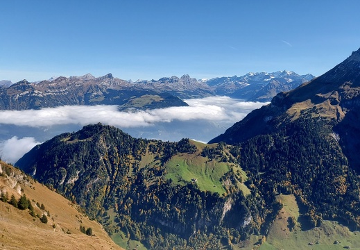 IMG-20251014-WA0002