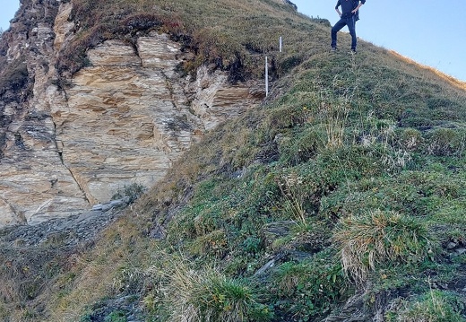 IMG-20251014-WA0014